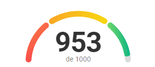 Score Serasa 953