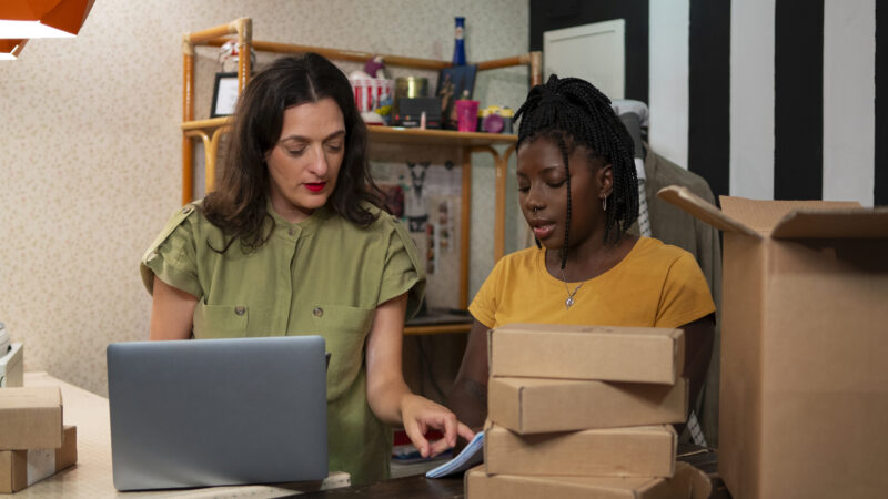 Como Revender Produtos e Lucrar Sem Estoque Usando o Dropshipping